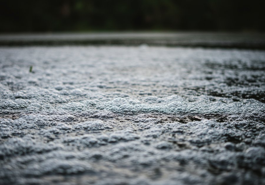 Cách xử lý hồ cá bị bọt nhanh tại nhà