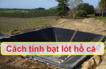 Cách tính bạt lót hồ cá HDPE đúng yêu cầu kỹ thuật - Gia đình và Xã hội