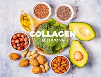 Collagen thực vật là gì và tác dụng của nó? - Gia đình và Xã hội