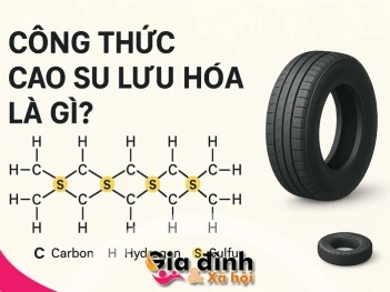 Công thức cao su lưu hóa là gì? - Gia đình và Xã hội
