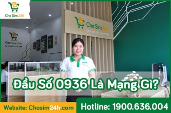 Đầu số 0936 là mạng gì? Ý nghĩa phong thủy đầu số 0936 - Gia đình và Xã hội